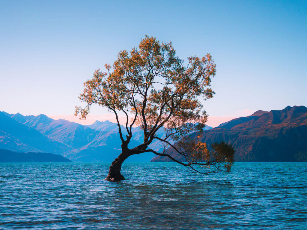 wanaka-tour-urban-city-tour-transfers